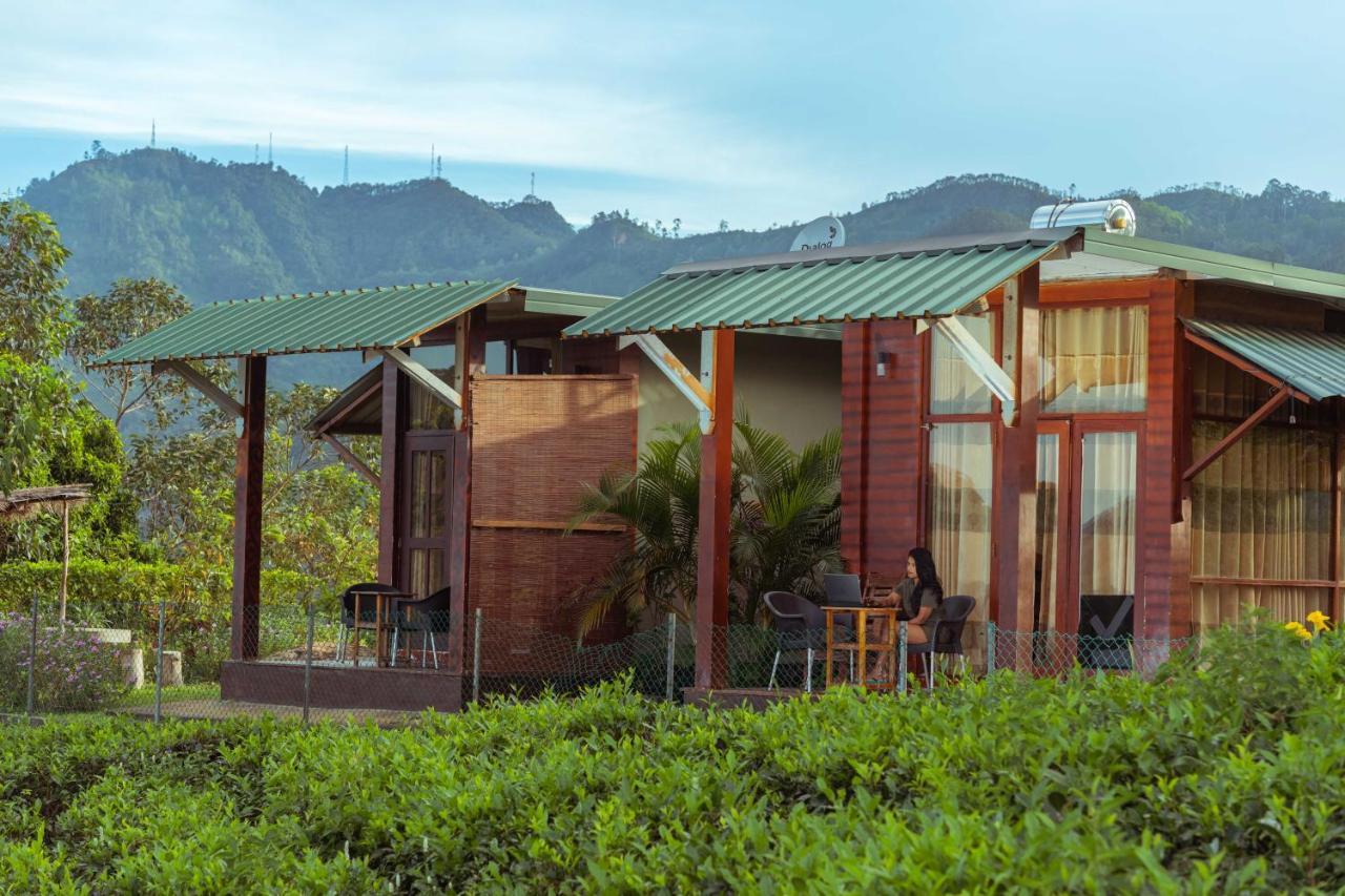 Cool Mount Resort Ella Bagian luar foto