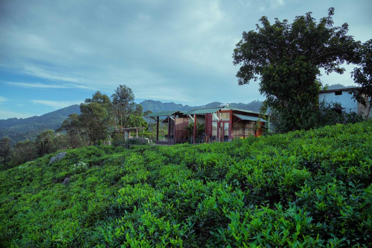 Cool Mount Resort Ella Bagian luar foto