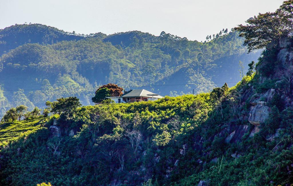 Cool Mount Resort Ella Bagian luar foto