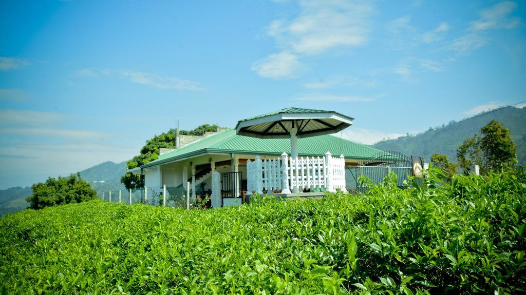 Cool Mount Resort Ella Bagian luar foto