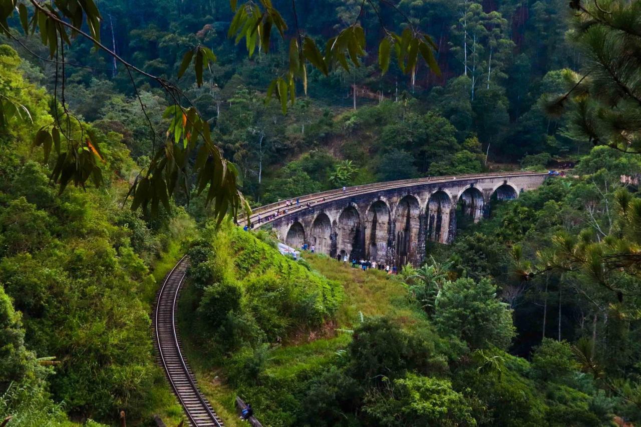 Cool Mount Resort Ella Bagian luar foto